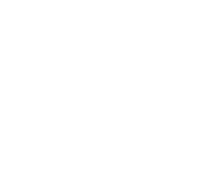 Logo de Union des Démocrates et Indépendants